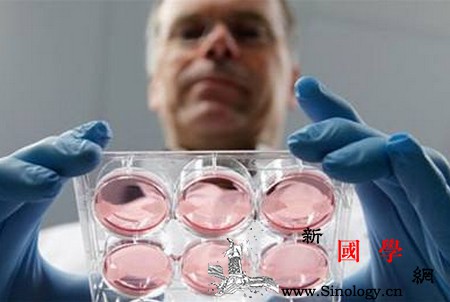 究竟哪些因素会影响试管婴儿的成功率_试管婴儿-成功率-患者-医生-不孕不育