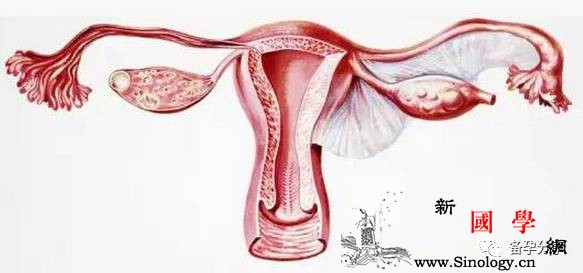 子宫内膜异常能正常备孕吗？该怎么治疗才行？_厚度-子宫内膜-异常-建议-怀孕准备
