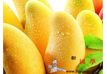 怀孕期间可以吃芒果吗_晕船-果皮-芒果-进食-