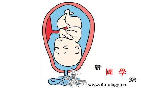破水是三大产兆之一这时孕妇应该做什么？_胎膜-羊水-流出-妈妈-