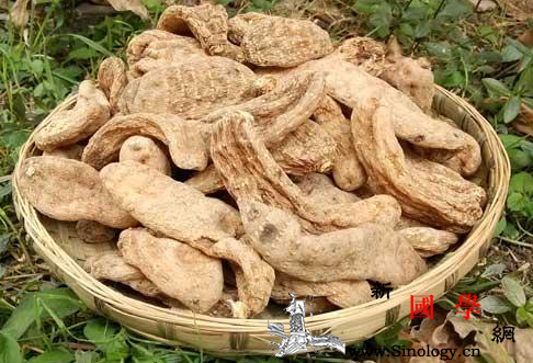 天麻怎么吃头痛头晕赶走头痛的天麻吃法_天麻-枸杞-适量-头晕-