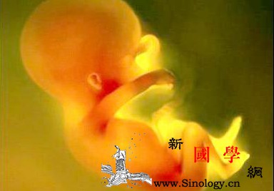 孕妇吃什么促进胎儿大脑发育_甲状腺素-胎儿-核桃-孕妇-