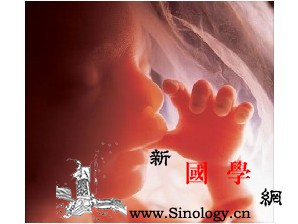 怀孕6个月胎儿的发育状况_铁质-生长发育-胎儿-个月-