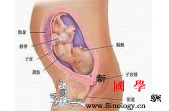 怀孕7个月胎儿的发育状况_已有-胎儿-个月-怀孕-