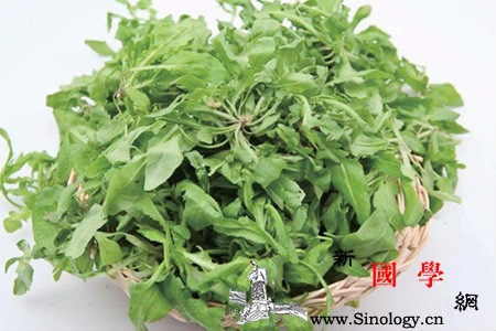 小孩哮喘能吃荠菜吗_荠菜-摄入-诱发-哮喘-