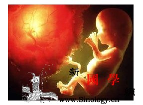 怀孕4个月胎儿的发育状况_胎儿-阴道-流产-个月-