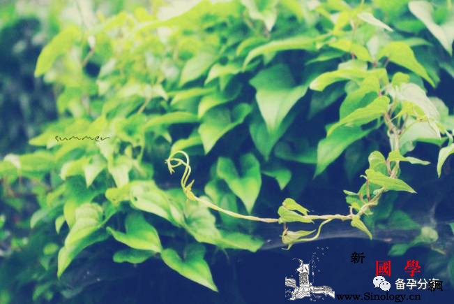 夏季预防妇科病你做到这几点了吗？_透气-细菌-私处-夏季-怀孕准备