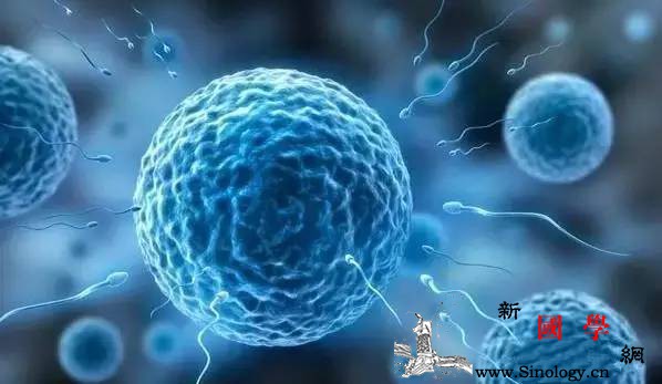 备孕半年没怀孕？那你看看是不是忽略这5件事？_卵子-同房-受孕-精子-怀孕准备