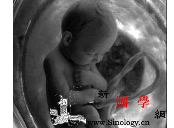准爸爸吸烟增加胚胎停育风险_胚胎-孕妇-吸烟-爸爸-