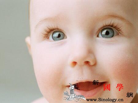 2018年1月出生的狗宝宝好不好？不看不知道_禄丰-运势-出生-狗宝宝-