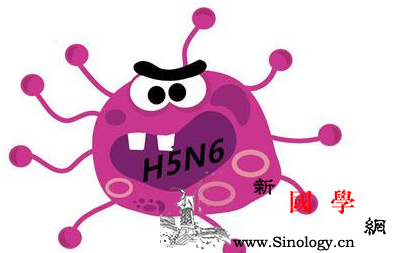 h5n6与h7n9的区别是什么_禽鸟-组合-禽类-流感-