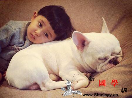 2018年4月份出生的狗宝宝好不好？孩子此时_田庄-海阳-较好-永福-