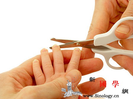 新生儿多久可以剪指甲没满月可以剪吗？_修剪-满月-指尖-指甲-