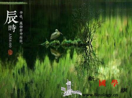 2018年辰时出生的狗宝宝好不好2018年_子时-辰时-较好-生人-
