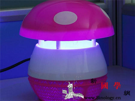 灭蚊灯对人有害吗_灭蚊-蚊虫-灯管-蚊子-