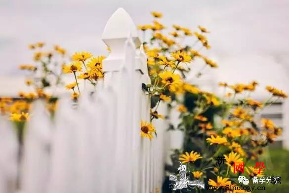 怎么样才能快速怀孕？最重要的是做到这三条！_卵子-排卵-精子-怀孕-怀孕准备