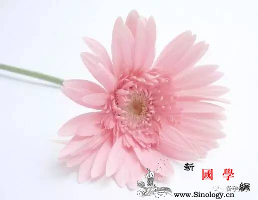 备孕需要强心脏这些问题出现都不要太紧张！_怀孕-询问-紧张-水平-怀孕准备