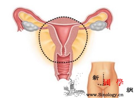 什么情况下脐带会扭转你不知道的运动过程_胎动-脐带-胎儿-扭转-