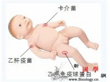 卡介苗和乙肝免疫球蛋白可以一起打吗会有什么_卡介苗-接种-乙肝-月龄-