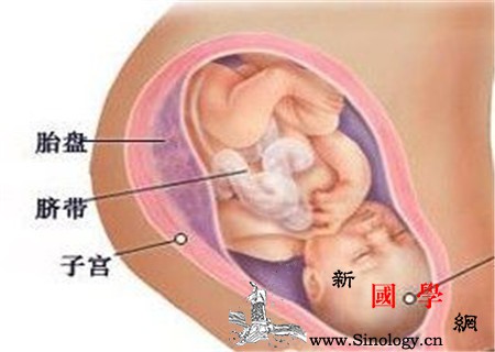 脐带扭转吸氧有用吗孕期吸氧要谨慎_脐带-胎盘-孕期-胎儿-