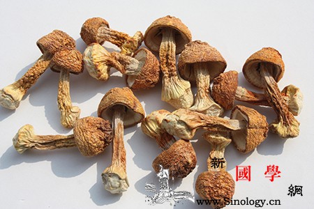 人流后可以松茸吗_刺激性-术后-胡萝卜-蘑菇-