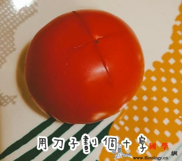番茄焖饭懒人版辅食餐_调味料-乾净-洋葱-备用-