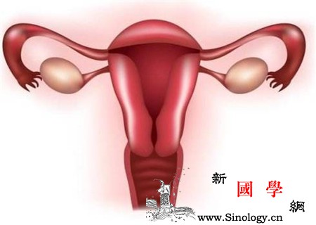 女性私处为什么会发黑病因治疗都要知道_荷尔蒙-色素-病因-性生活-