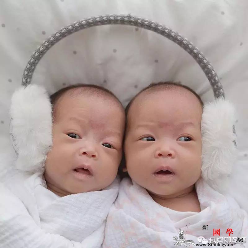 新加坡妈妈生了一对“复制黏贴”的双胞胎居然_和你-双胞胎-黏贴-怀孕-生男生女