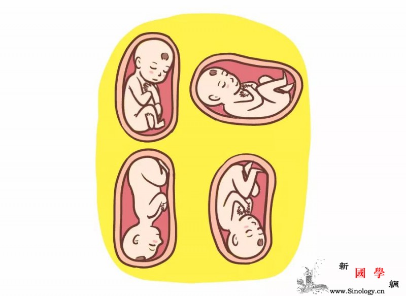 预产期到了胎位不正怎么办？_胎位-骨盆-矫正-胎儿-