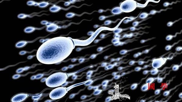 精子在女性体内能存活多久精子在女人体内不同_粘液-宫颈-精子-存活-两性知识