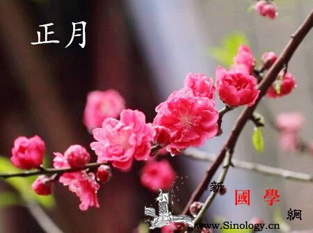 2018年大年初八出生的狗宝宝好不好_运势-年初-出生-事业-