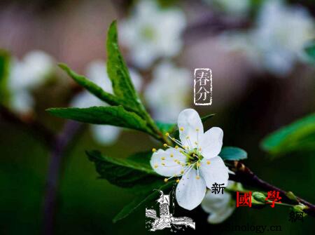 2018年春分出生的狗宝宝好不好_春分-较好-出生-狗宝宝- ()
