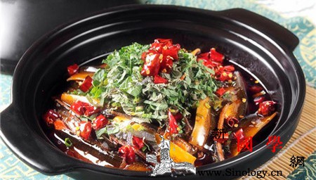 泥鳅怎么吃壮阳补肾_郫县-黄芪-泥鳅-补肾-