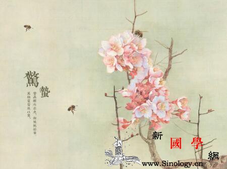 惊蛰出生属狗的孩子好吗_春雷-惊蛰-节气-出生-