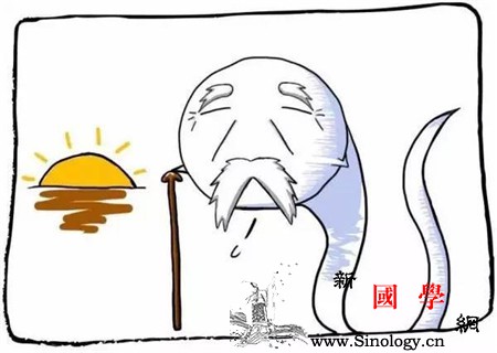 禁欲10天精子会老化吗注意精子寿命_受精-禁欲-精液-精子-遗传优生