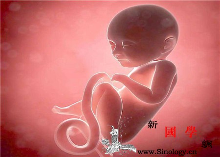 打过胎要注意什么这些方面不可忽视_堕胎-打过-子宫-细菌-