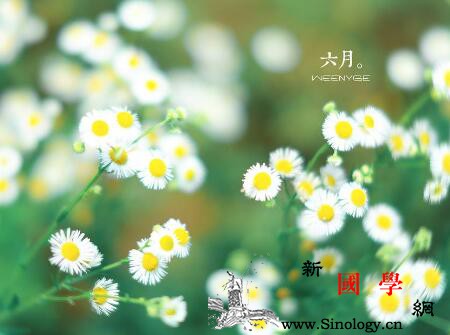 2019年夏天出生的猪宝宝好不好_温馨提示-若能-生肖-出生-