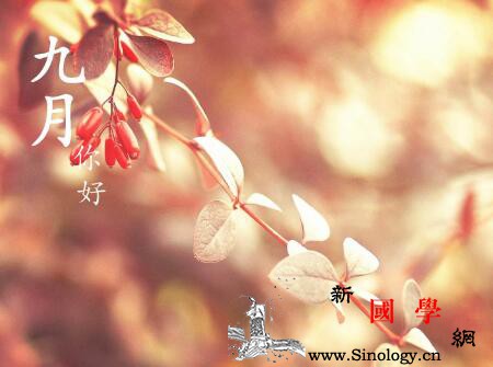 2019年秋天出生的猪宝宝好不好_温馨提示-交际-生肖-秋天-