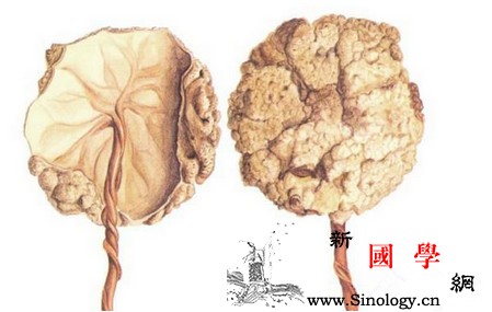 大S竟吃胎盘美容第3胎还要吃这块肉你当初_胎盘-母体-胶囊-滋补-