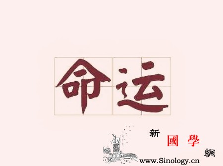 属猪戌时出生的人命运如何2019戌时出生的_戌时-运势-命理-出生-