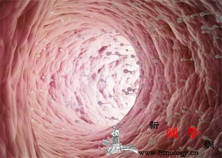 精子发黄是上火吗男性上火可不能大意_虚火-射精-精液-精子-遗传优生