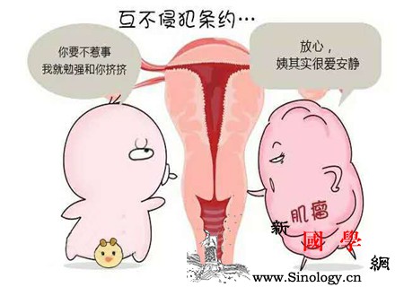 宫底肌瘤影响怀孕吗女性朋友要警惕_骨盆-肌瘤-子宫-子宫肌瘤-