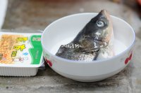 鱼头豆腐汤的做法_茶匙-鱼头-味精-适量-