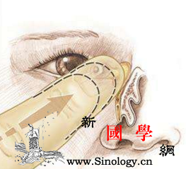 新生儿泪囊炎按摩图解_按压-分泌物-阻塞-图解-