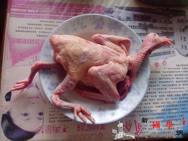 板栗炖鸽子_肉鸽-炖锅-吸收率-枸杞-