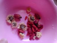 美颜茶_单宁酸-调经-养颜-玫瑰花-