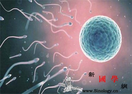 精子发黄可以治好吗男科问题别大意_凝集-精液-精子-治好-不孕不育