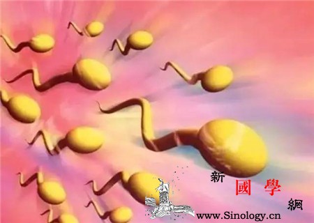 精子发黄多久能恢复复原时间别勉强_精液-精子-复原-坐浴-遗传优生