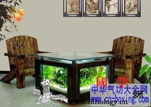 客厅植物的摆放风水知识_摆放-风水-客厅-开运-