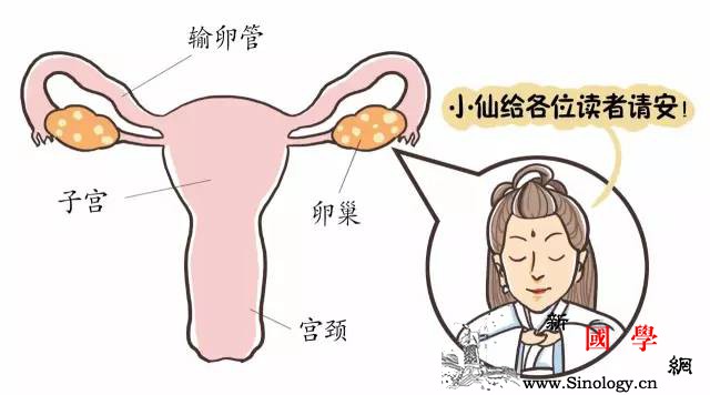 卵巢上神请留步！（漫画）_卵泡-绝经-卵子-雌激素-怀孕准备